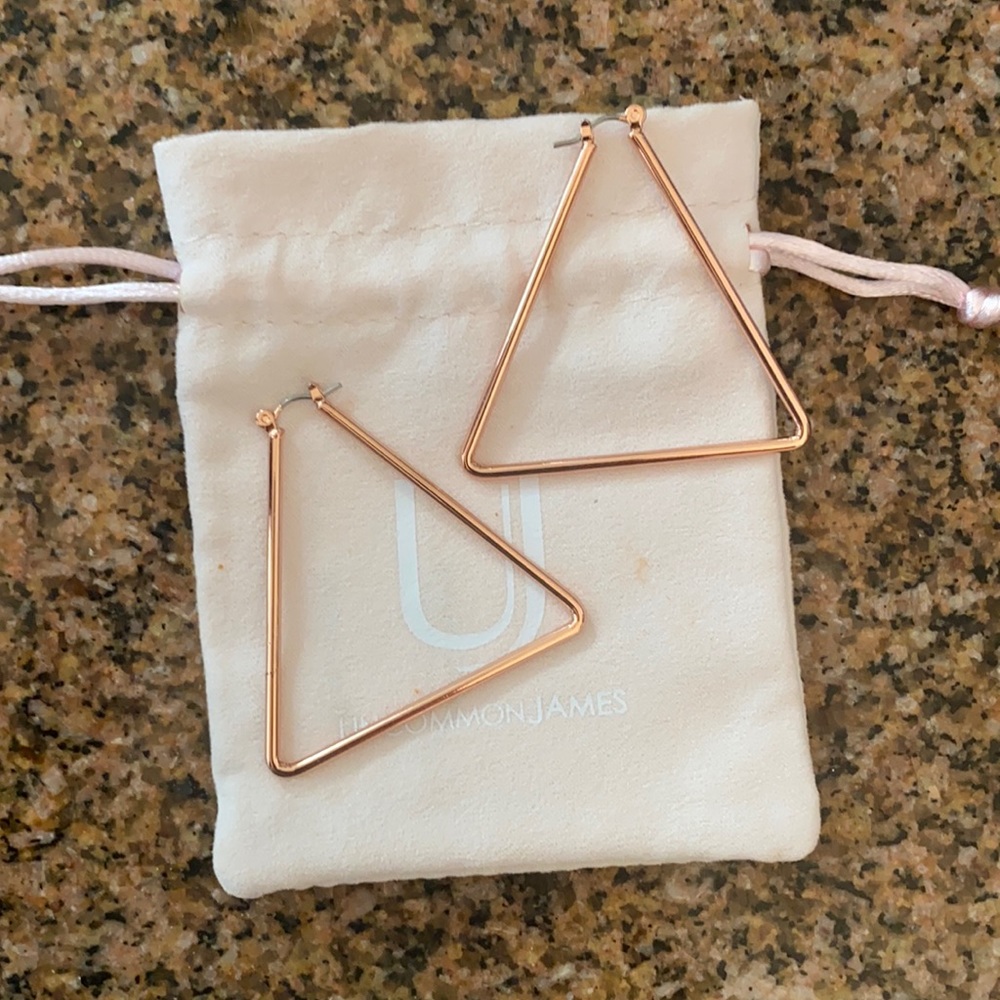 NWT Uncommon James chemistry hoop earrings